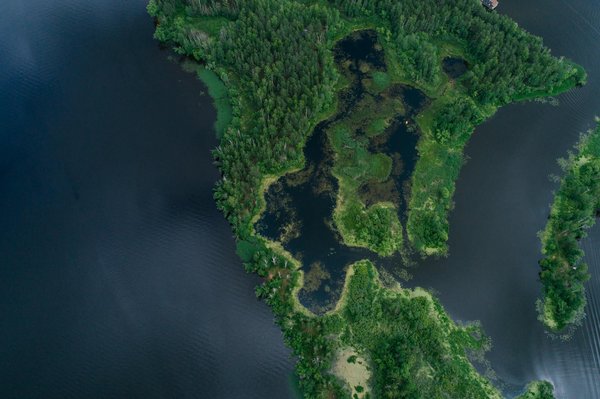 Vivez une aventure inoubliable à bord des croisières MSC au Japon